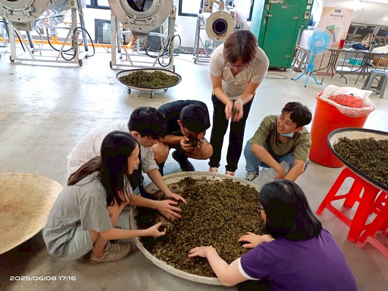 2025年臺灣客家茶文化館丙級製茶課程學員共同討論與評鑑製作完成的茶葉,體驗臺灣茶文化學習交流氛圍。