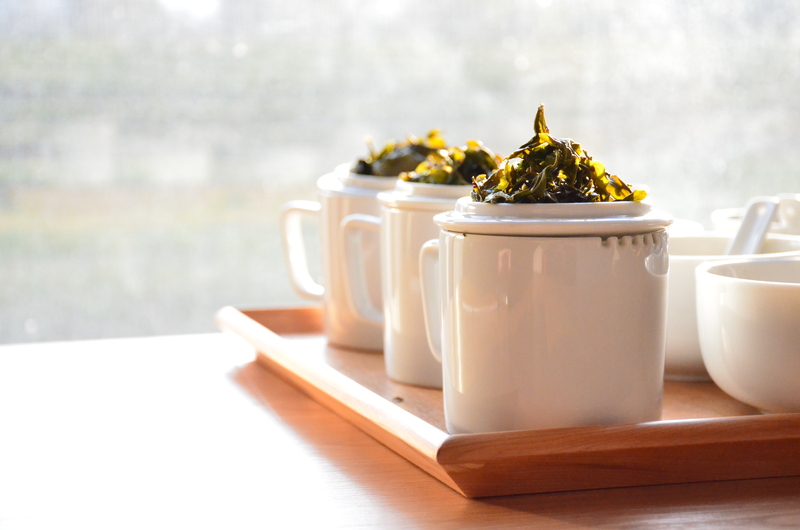 木盤上的白瓷茶杯盛滿沖泡後的茶葉，在陽光下展現臺灣客家茶文化的品茶氛圍