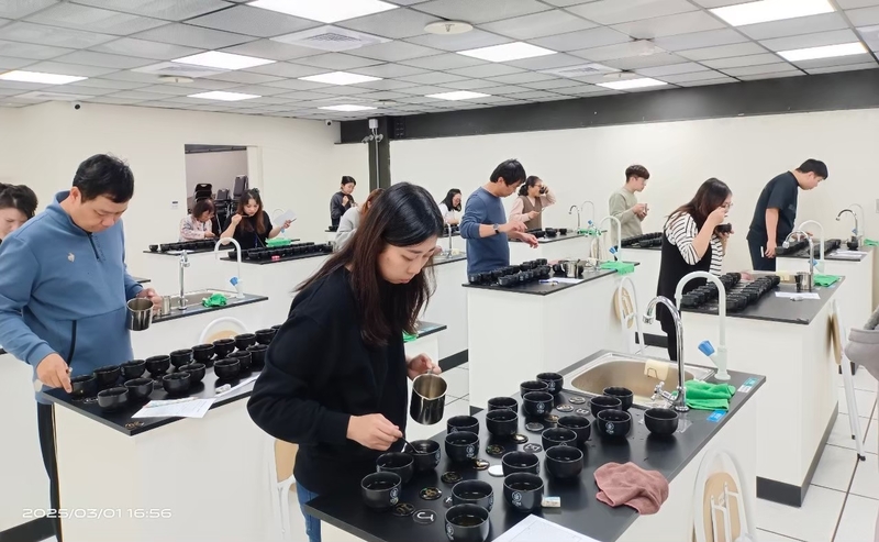 茶葉感官品評課程模擬測驗練習，學員依正式考試流程進行沖泡、品評與辨識操作，熟悉考照應試情境。
