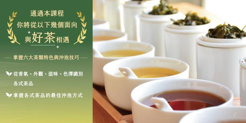 茶葉感官品評初級班透過多款茶樣實作，學習辨識不同茶類的外觀與風味特性。