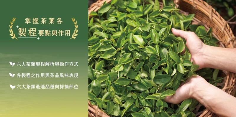 茶葉感官品評課程說明茶葉製程重點，包含採摘方式與製作流程對風味的影響。