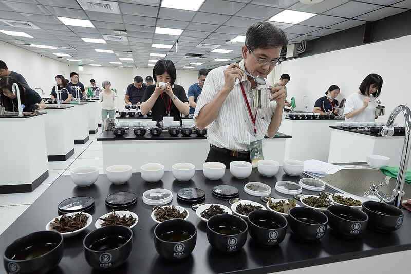 學員於茶葉感官品評課程中專注品飲與記錄，體驗茶葉風味差異，展現專業的茶葉評鑑過程。