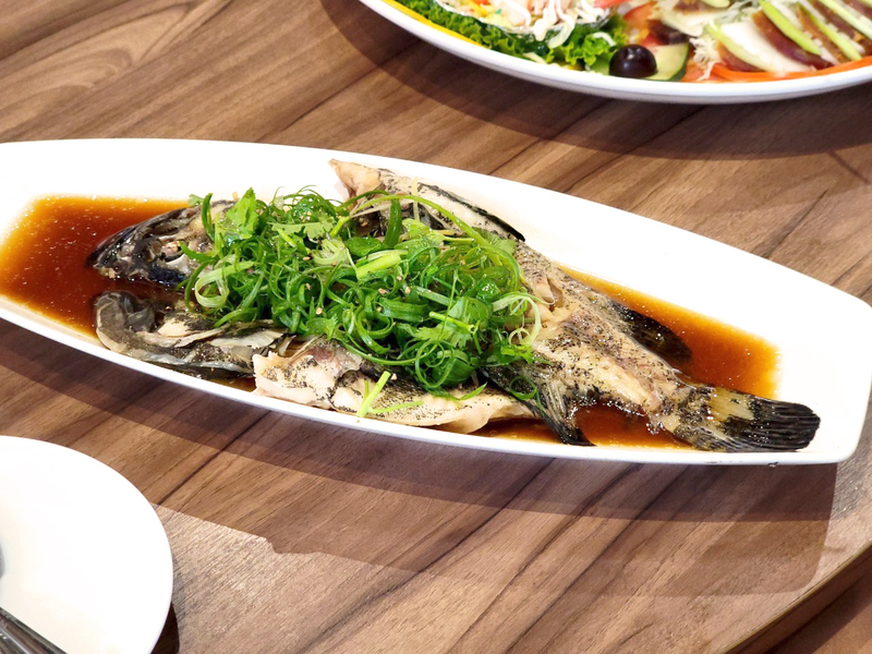 客茶樓 2026 金馬迎新開運年菜｜清蒸石斑魚料理，淋上醬油與蔥絲，象徵年年有餘的春節應景佳餚。