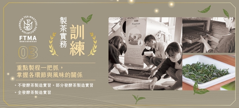 茶葉感官品評中級班製茶實務訓練，實地操作不發酵、部分發酵與全發酵茶製程，理解風味形成關鍵